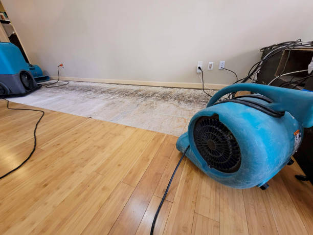 Professional Emergency Water Damage technician working in Wooldridge, MO
